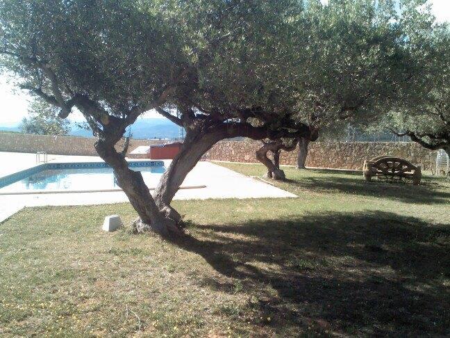 Hotel L'Ermita Casa Ripo Vall dʼAlba Esterno foto